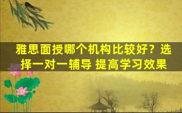 雅思面授哪个机构比较好？选择一对一辅导 提高学习效果